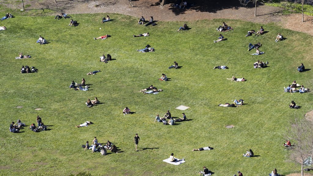 An aerial view of students relaxing in the sun at UC Berkeley's Memorial Glade.